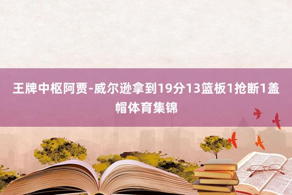 王牌中枢阿贾-威尔逊拿到19分13篮板1抢断1盖帽体育集锦