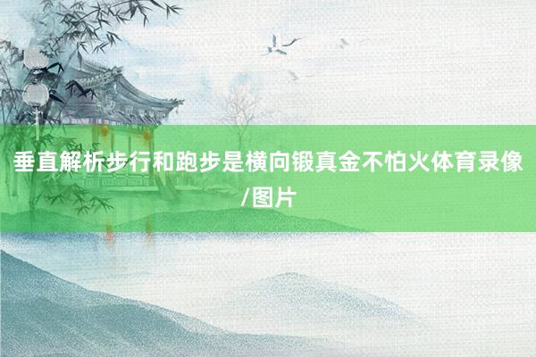垂直解析　　步行和跑步是横向锻真金不怕火体育录像/图片