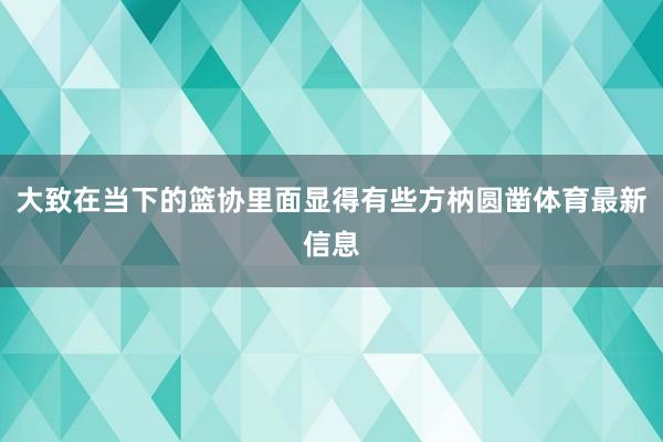 大致在当下的篮协里面显得有些方枘圆凿体育最新信息