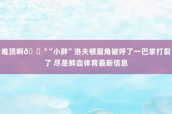 难顶啊😳“小胖”洛夫顿眉角被呼了一巴掌打裂了 尽是鲜血体育最新信息