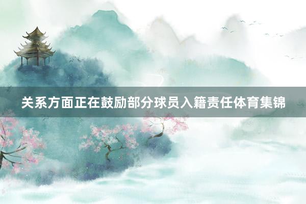关系方面正在鼓励部分球员入籍责任体育集锦