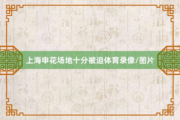 上海申花场地十分被迫体育录像/图片
