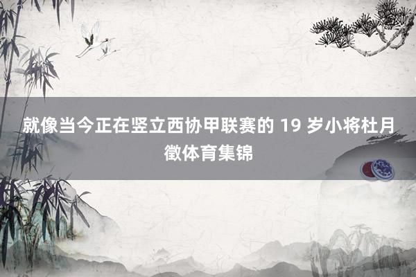 就像当今正在竖立西协甲联赛的 19 岁小将杜月徵体育集锦