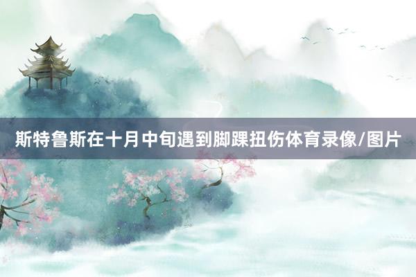 斯特鲁斯在十月中旬遇到脚踝扭伤体育录像/图片