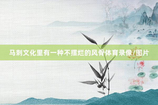 马刺文化里有一种不摆烂的风骨体育录像/图片