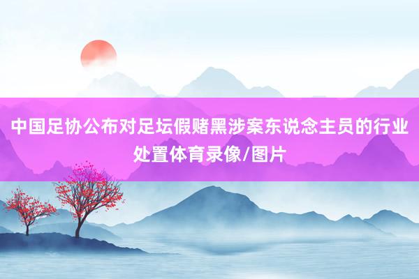 中国足协公布对足坛假赌黑涉案东说念主员的行业处置体育录像/图片