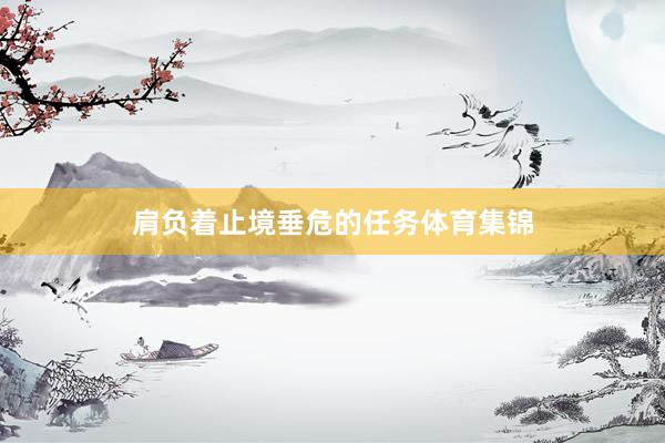 肩负着止境垂危的任务体育集锦