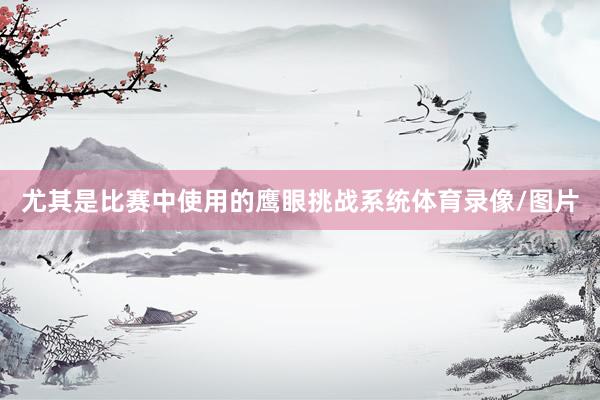 尤其是比赛中使用的鹰眼挑战系统体育录像/图片