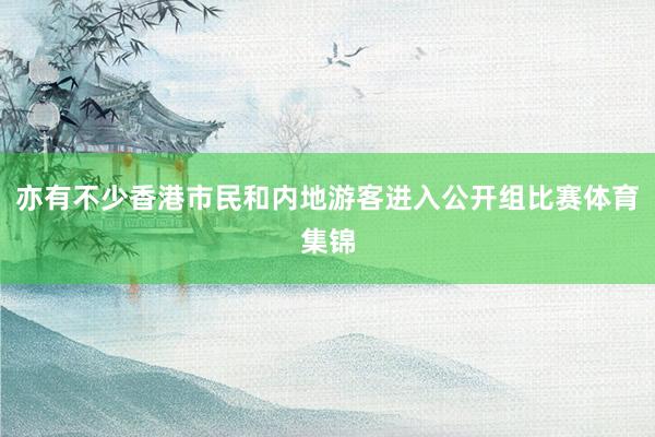亦有不少香港市民和内地游客进入公开组比赛体育集锦