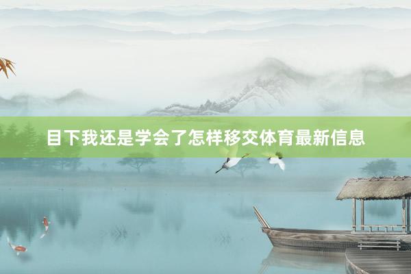 目下我还是学会了怎样移交体育最新信息