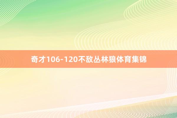 奇才106-120不敌丛林狼体育集锦