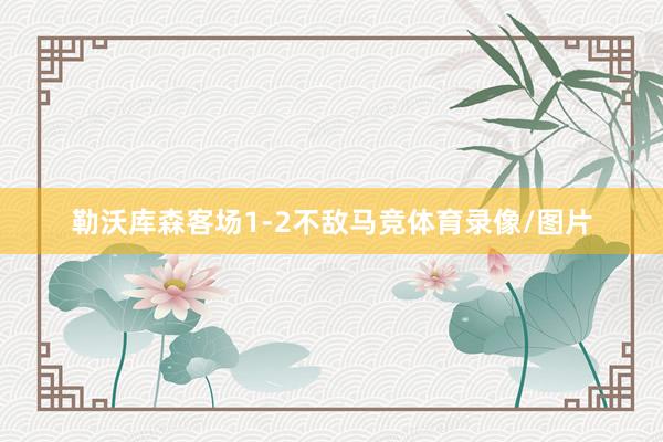 勒沃库森客场1-2不敌马竞体育录像/图片