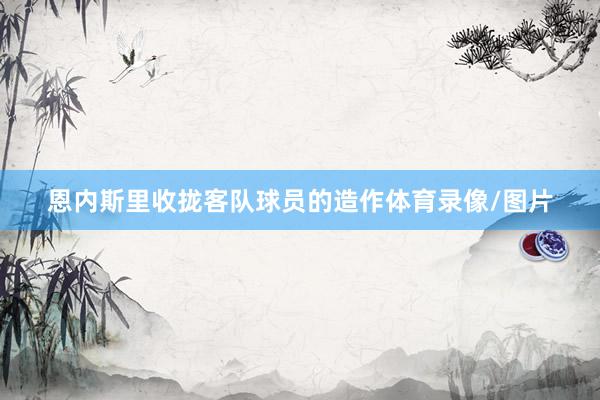 恩内斯里收拢客队球员的造作体育录像/图片