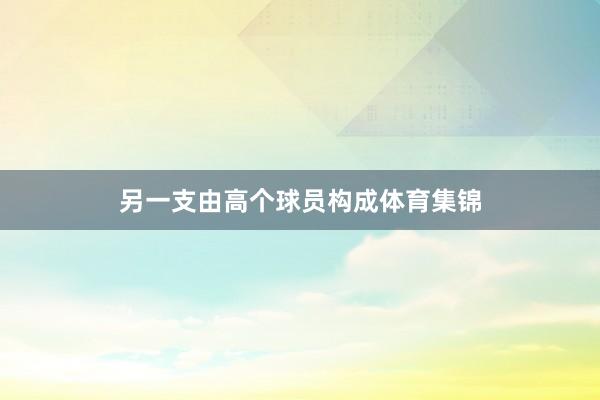 另一支由高个球员构成体育集锦