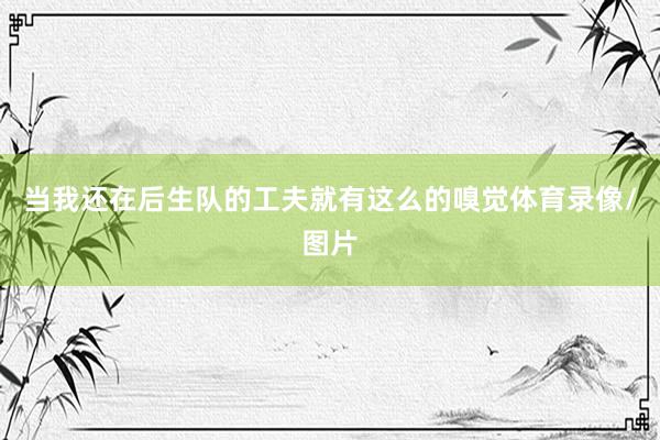 当我还在后生队的工夫就有这么的嗅觉体育录像/图片