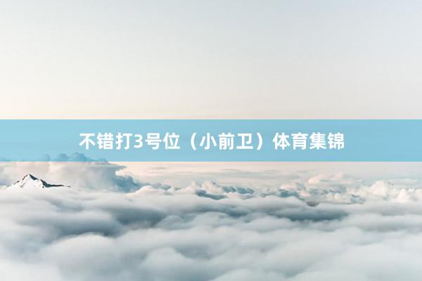 不错打3号位（小前卫）体育集锦