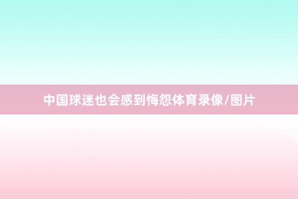 中国球迷也会感到悔怨体育录像/图片