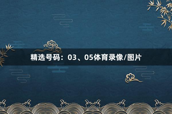 精选号码:03、05体育录像/图片