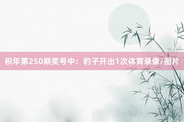 积年第250期奖号中:豹子开出1次体育录像/图片