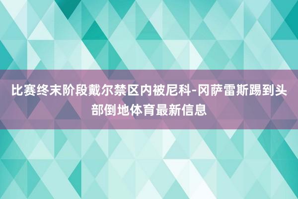 比赛终末阶段戴尔禁区内被尼科-冈萨雷斯踢到头部倒地体育最新信息