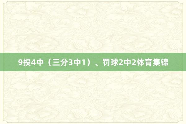 9投4中（三分3中1）、罚球2中2体育集锦