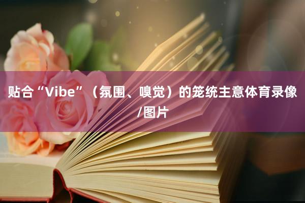 贴合“Vibe”(氛围、嗅觉)的笼统主意体育录像/图片