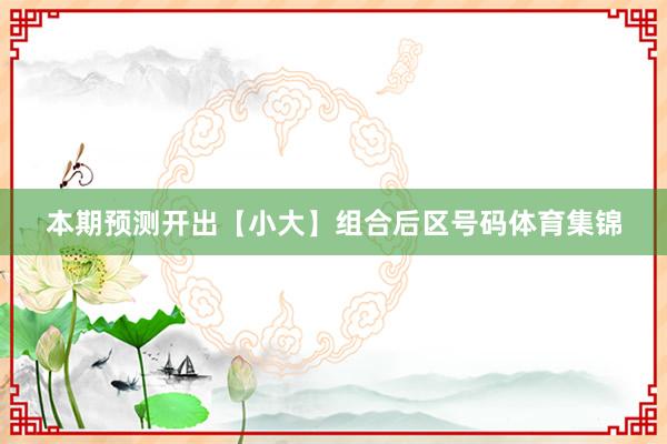 本期预测开出【小大】组合后区号码体育集锦