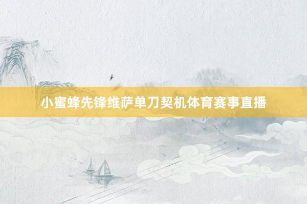 小蜜蜂先锋维萨单刀契机体育赛事直播