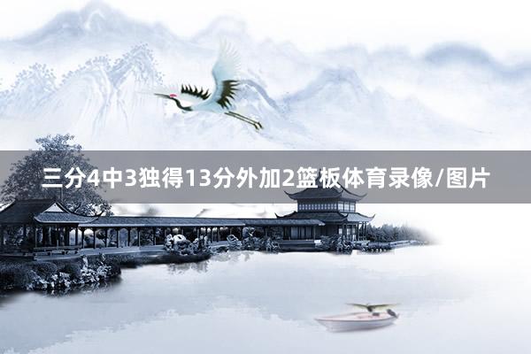 三分4中3独得13分外加2篮板体育录像/图片
