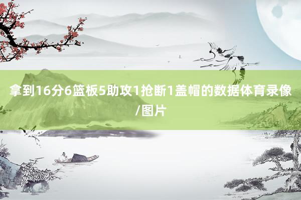 拿到16分6篮板5助攻1抢断1盖帽的数据体育录像/图片