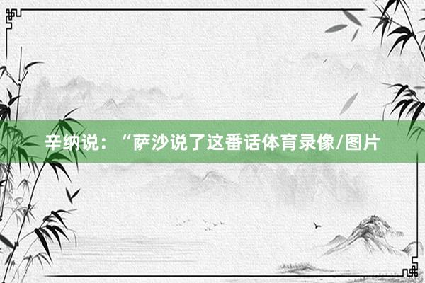 辛纳说：“萨沙说了这番话体育录像/图片