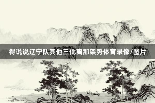 得说说辽宁队其他三仳离那架势体育录像/图片