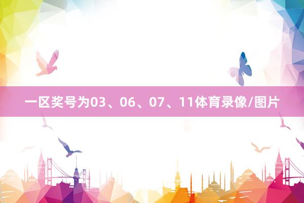 一区奖号为03、06、07、11体育录像/图片