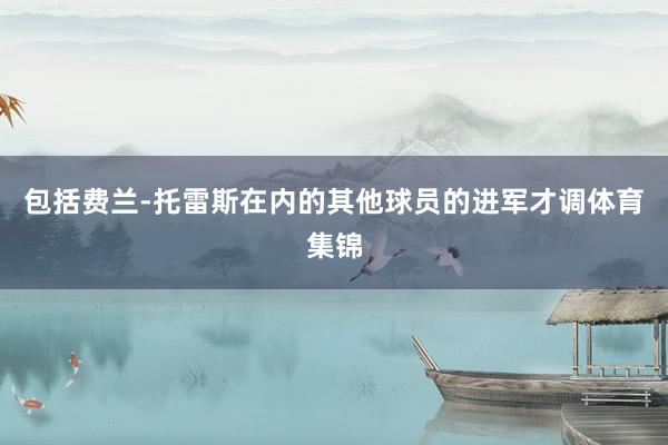包括费兰-托雷斯在内的其他球员的进军才调体育集锦