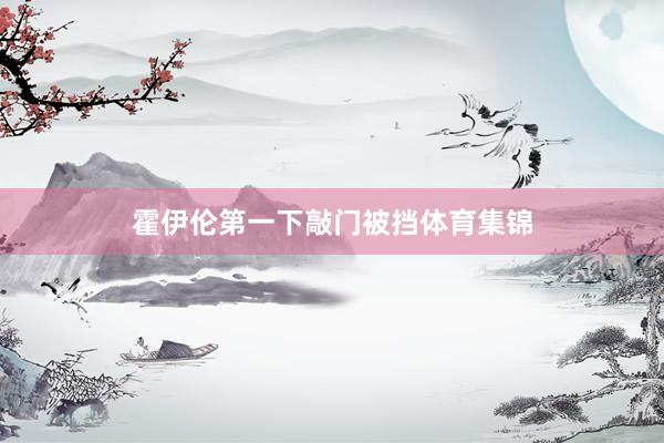 霍伊伦第一下敲门被挡体育集锦
