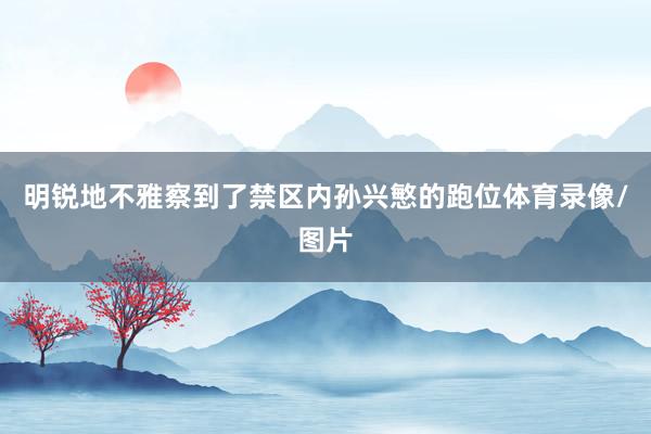 明锐地不雅察到了禁区内孙兴慜的跑位体育录像/图片