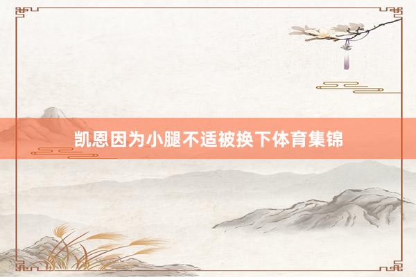 凯恩因为小腿不适被换下体育集锦