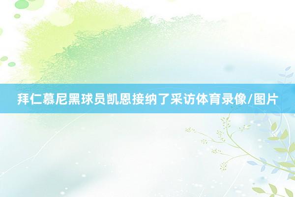 拜仁慕尼黑球员凯恩接纳了采访体育录像/图片