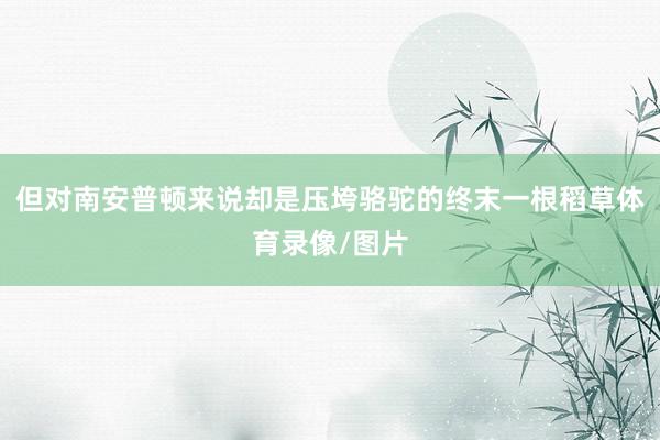 但对南安普顿来说却是压垮骆驼的终末一根稻草体育录像/图片