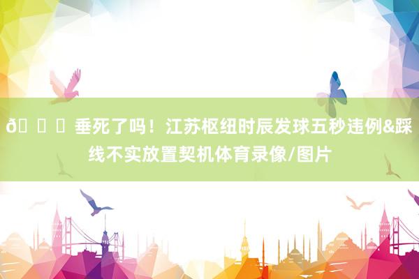 🙄垂死了吗！江苏枢纽时辰发球五秒违例&踩线不实放置契机体育录像/图片