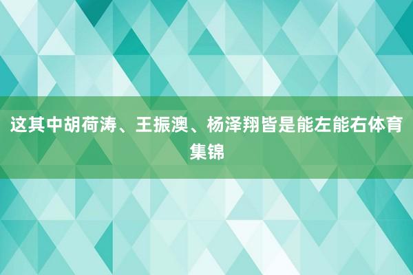 这其中胡荷涛、王振澳、杨泽翔皆是能左能右体育集锦