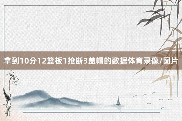 拿到10分12篮板1抢断3盖帽的数据体育录像/图片