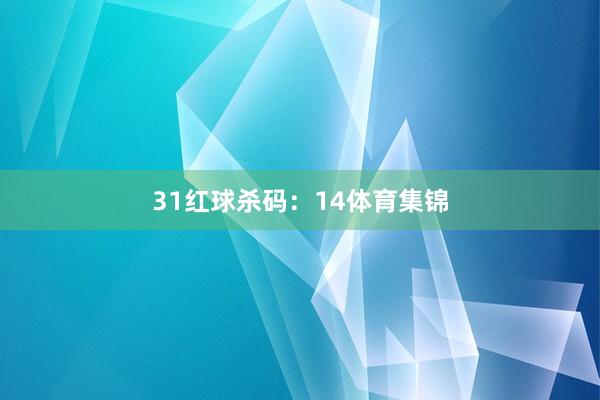 31　　红球杀码：14体育集锦