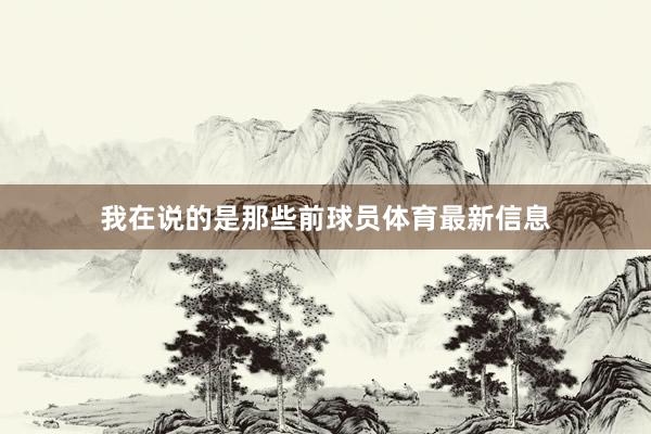 我在说的是那些前球员体育最新信息