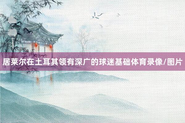 居莱尔在土耳其领有深广的球迷基础体育录像/图片