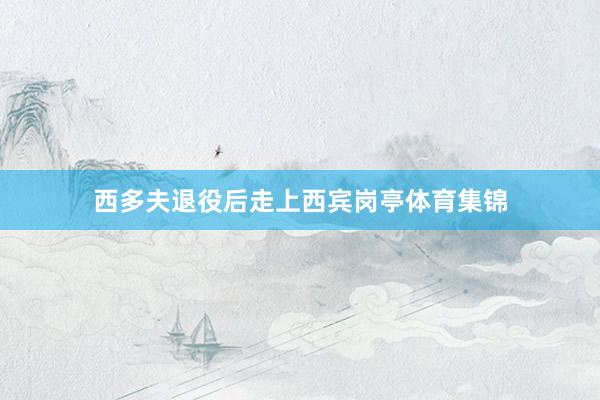 西多夫退役后走上西宾岗亭体育集锦