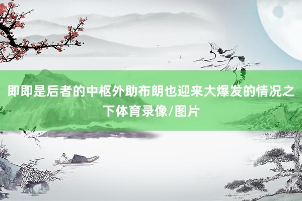 即即是后者的中枢外助布朗也迎来大爆发的情况之下体育录像/图片