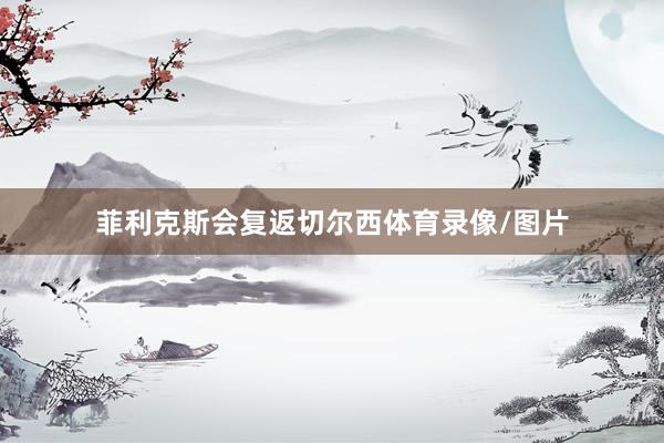 菲利克斯会复返切尔西体育录像/图片