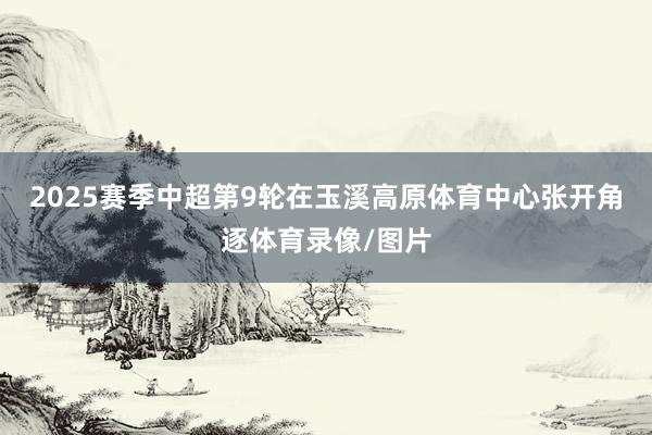 2025赛季中超第9轮在玉溪高原体育中心张开角逐体育录像/图片