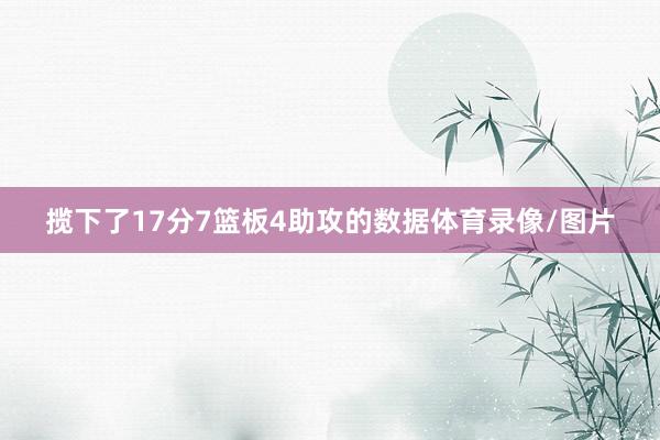 揽下了17分7篮板4助攻的数据体育录像/图片